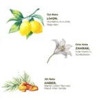 Eyüp Sabri Tuncer Kolonyalı Islak Mendil Limon 150'li - Görsel 6