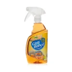 Gizli Bahçe Yeni Nesil Oda Spreyi Kavun 500 ml